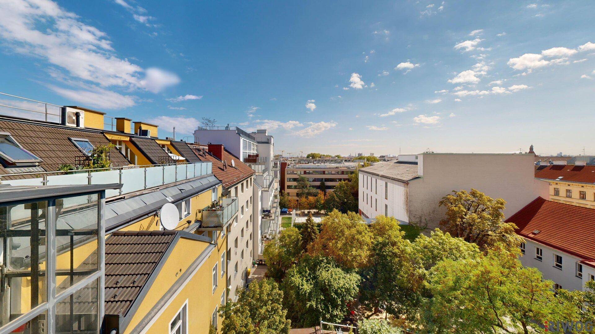 Weitläufiger Blick über die Dächer der Stadt und grüne Baumkronen an einem sonnigen Tag.