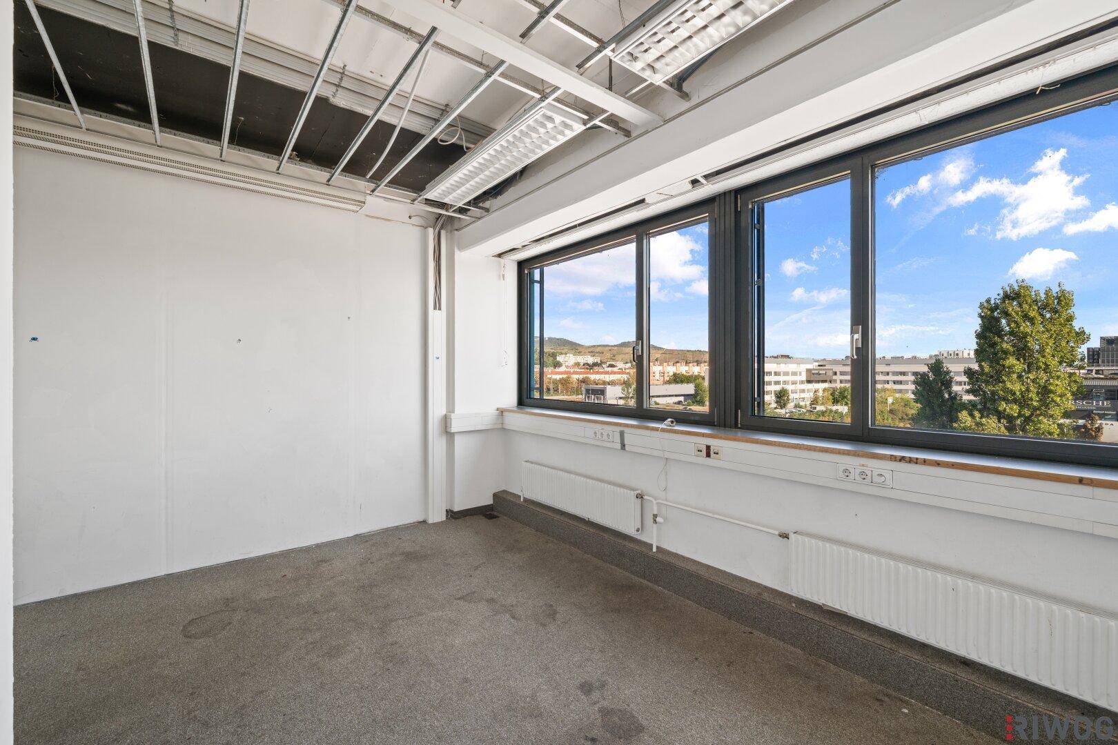 Heller Büroraum mit Teppichboden, weißen Wänden und großen Fenstern mit Blick ins Grüne.