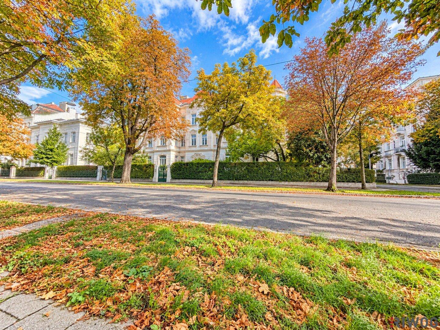 Majestätisches Gebäude mit herbstlicher Baumkulisse und einer ruhigen Straße, bedeckt mit bunten Blättern.