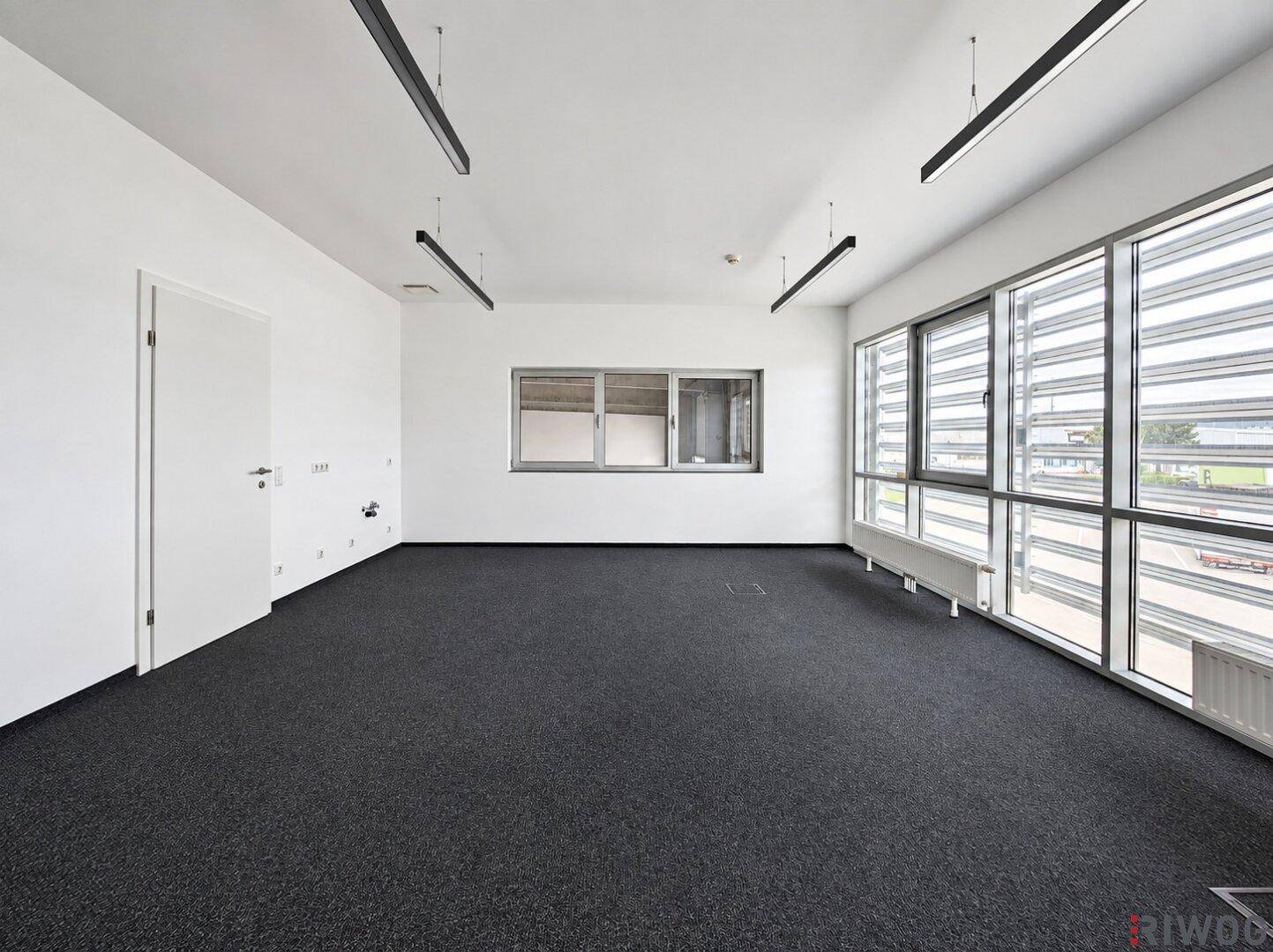 Leerer Büroraum mit dunklem Teppichboden, großen Fenstern und moderner Deckenbeleuchtung.