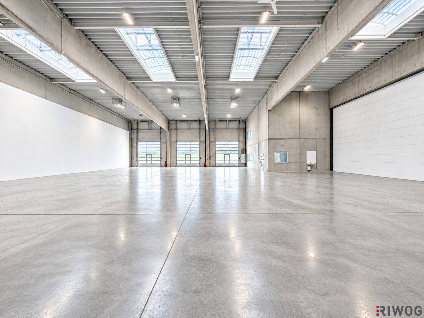 Weitläufige Industriehalle mit Betonboden, Rolltoren und zahlreichen Oberlichtern für Helligkeit.