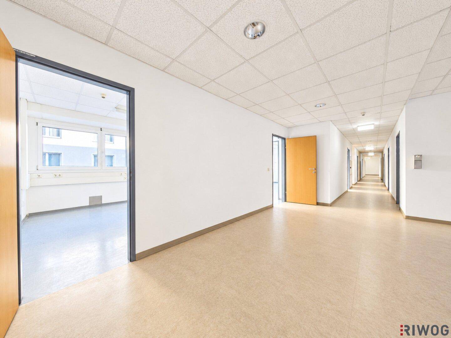Langer Flur mit mehreren Bürotüren, hellem Linoleumboden und Deckenbeleuchtung.