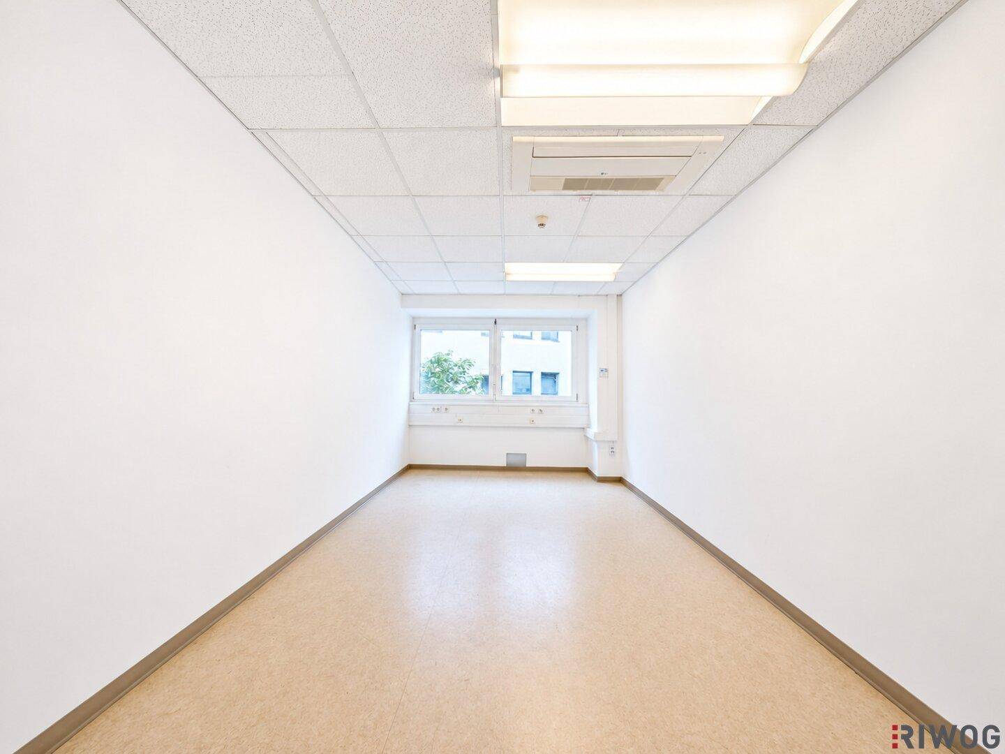 Schmaler Büroraum mit einem Fenster am Ende, abgehängter Decke und Linoleumboden.