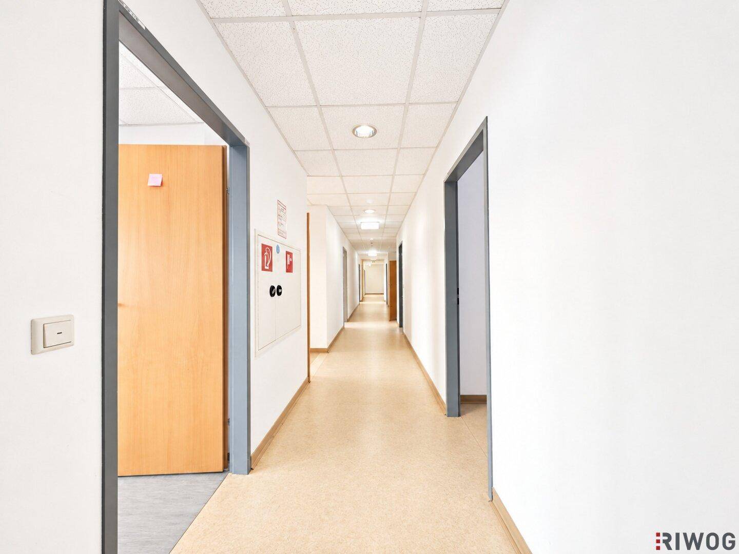 Heller Büroflur mit Holztüren, Brandschutzschildern und abgehängter Decke.