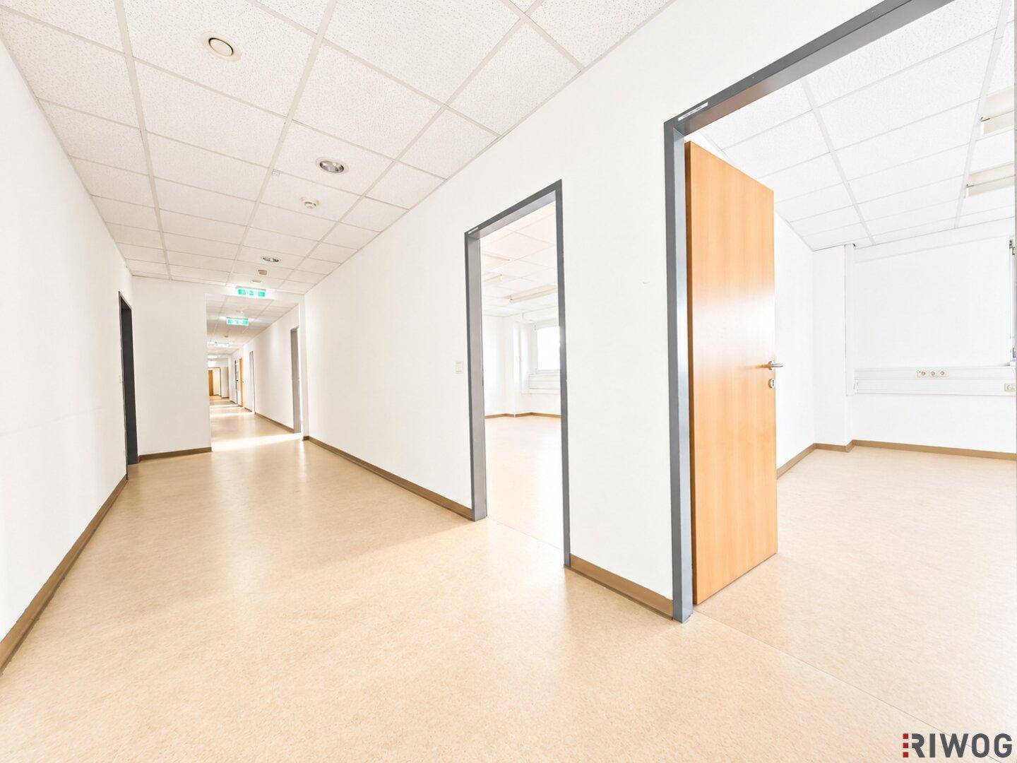 Moderner Flur mit offenen Bürotüren, hellem Boden und durchgehender Beleuchtung.
