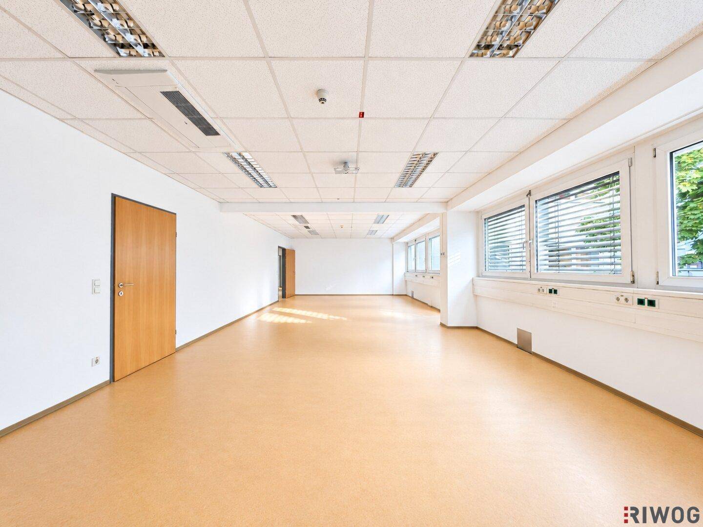 Heller und geräumiger Büroraum mit vielen Fenstern, hellem Boden und abgehängter Decke.