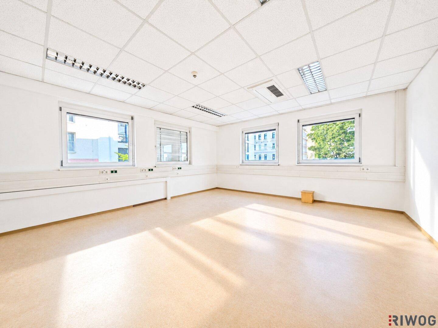 Helles Eckbüro mit mehreren Fenstern, die viel Tageslicht hereinlassen, und Linoleumboden.