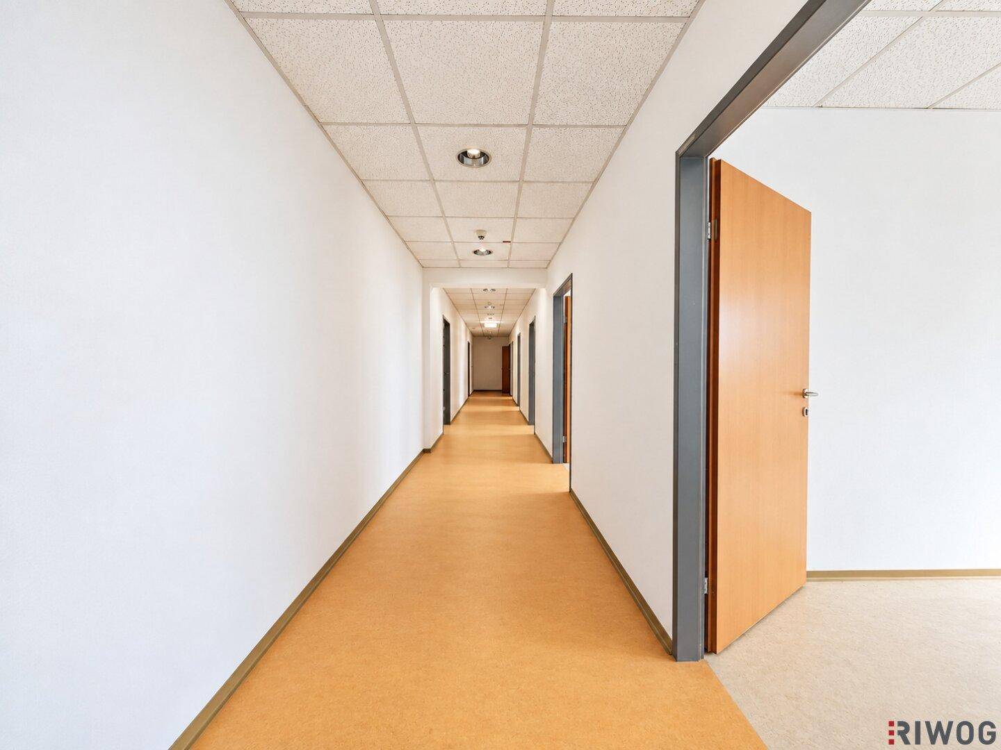 Langer, gut beleuchteter Büroflur mit mehreren Türen, der zu verschiedenen Räumen führt.