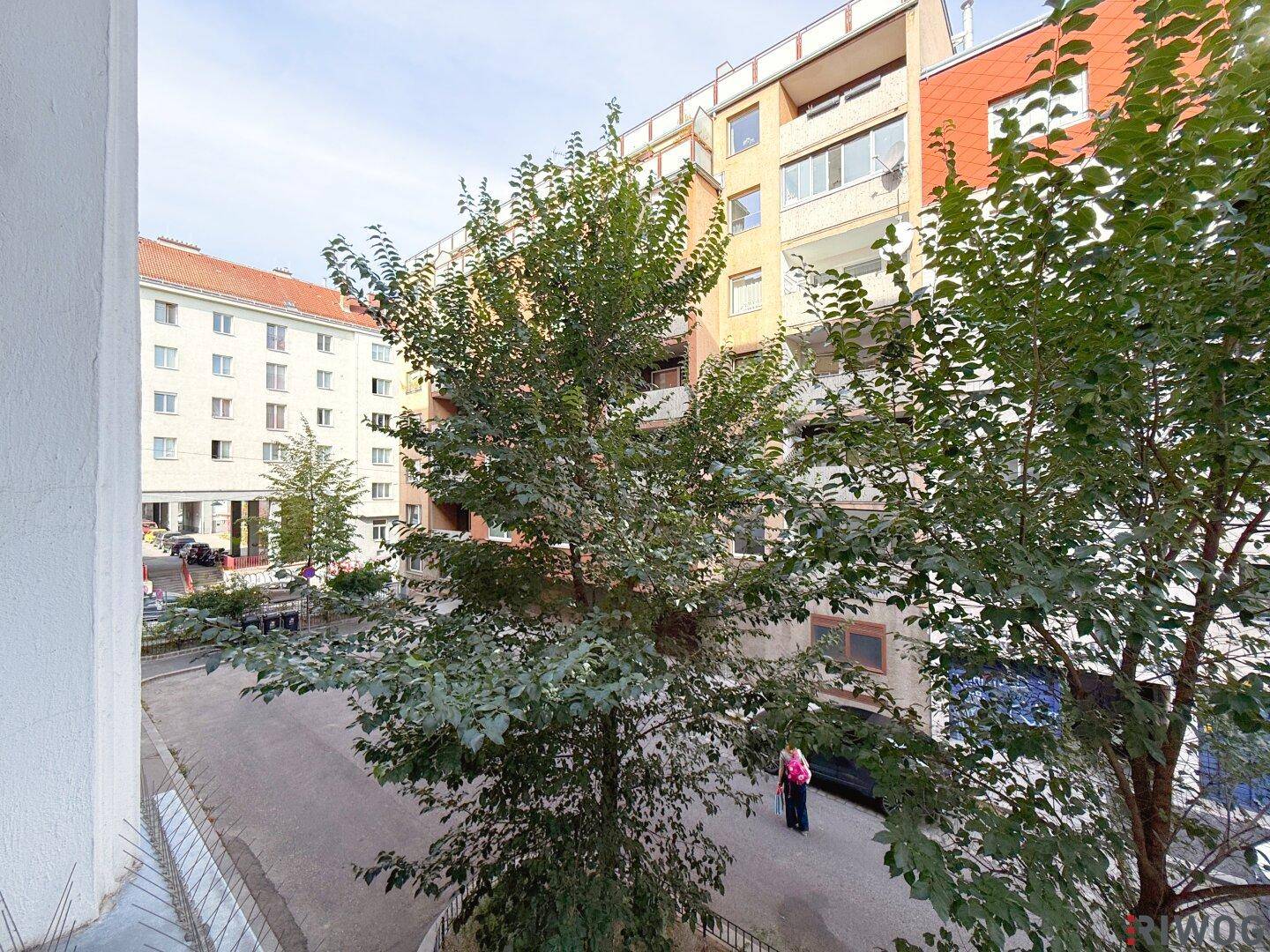 Blick aus dem Fenster auf eine ruhige Straße mit Bäumen und umliegenden Gebäuden im Stadtgebiet.