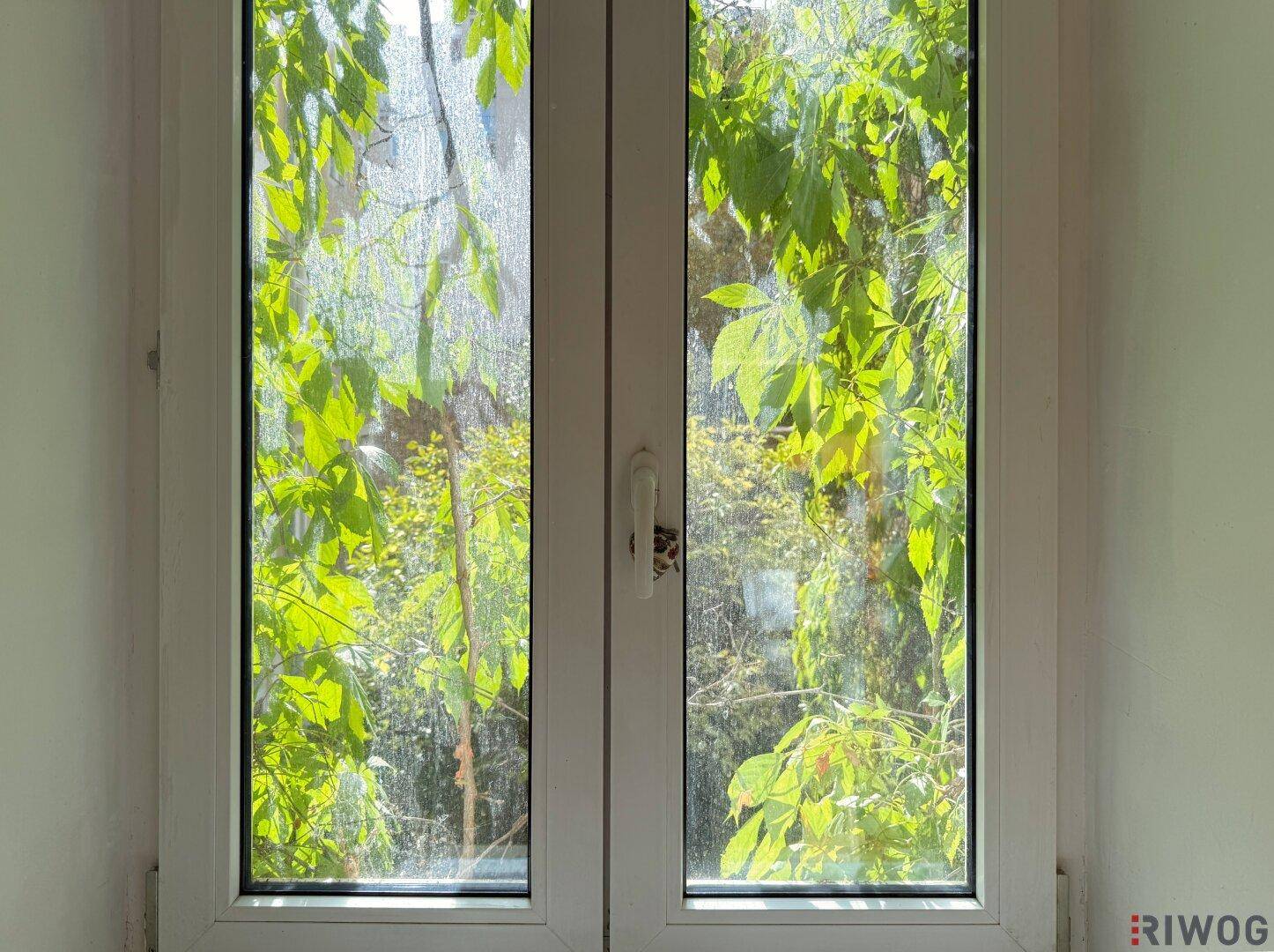 Fenster mit Blick auf üppiges Grün und Bäume, das viel natürliches Licht hereinlässt.