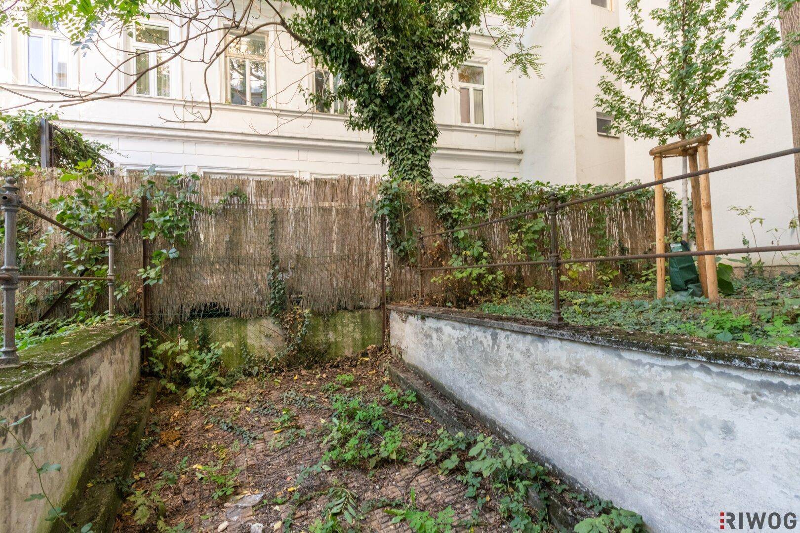 Verwilderter Gartenbereich mit alter Mauer und Zaun, umgeben von Bäumen und Sträuchern, in natürlichem Zustand.