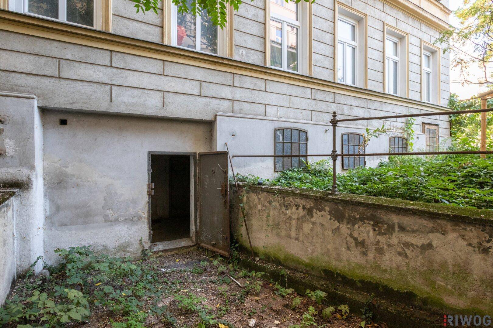 Eingang zum Kellerbereich von außen, umgeben von wilder Vegetation und einer alten Mauer, in natürlichem Zustand.