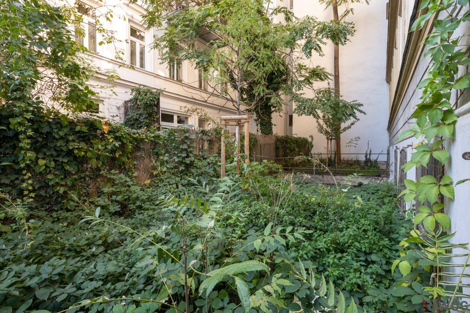 Verwilderter Hinterhofgarten mit üppiger Vegetation und Blick auf die Rückseite des Gebäudes, in natürlichem Zustand.