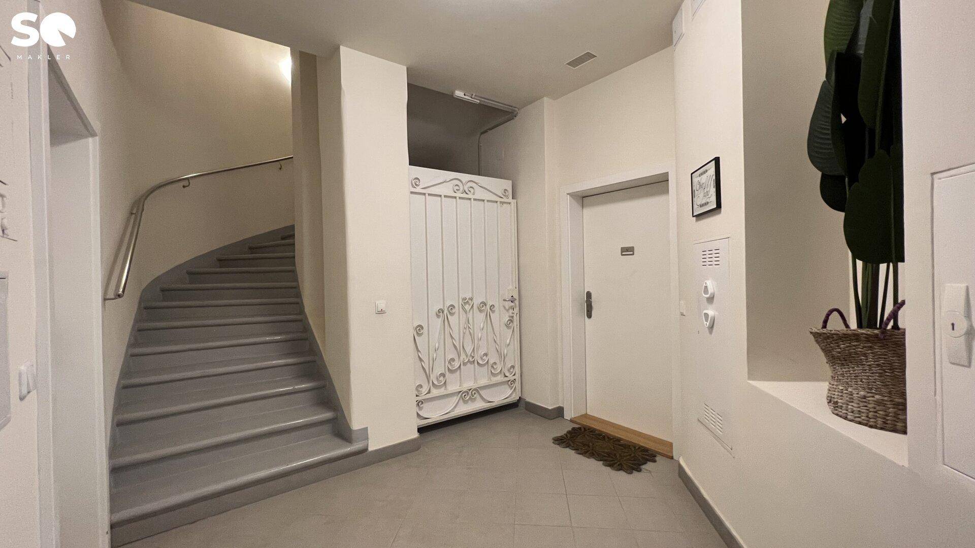 Heller Eingangsbereich mit geschwungener Treppe, Aufzug und dekorativer Pflanze.
