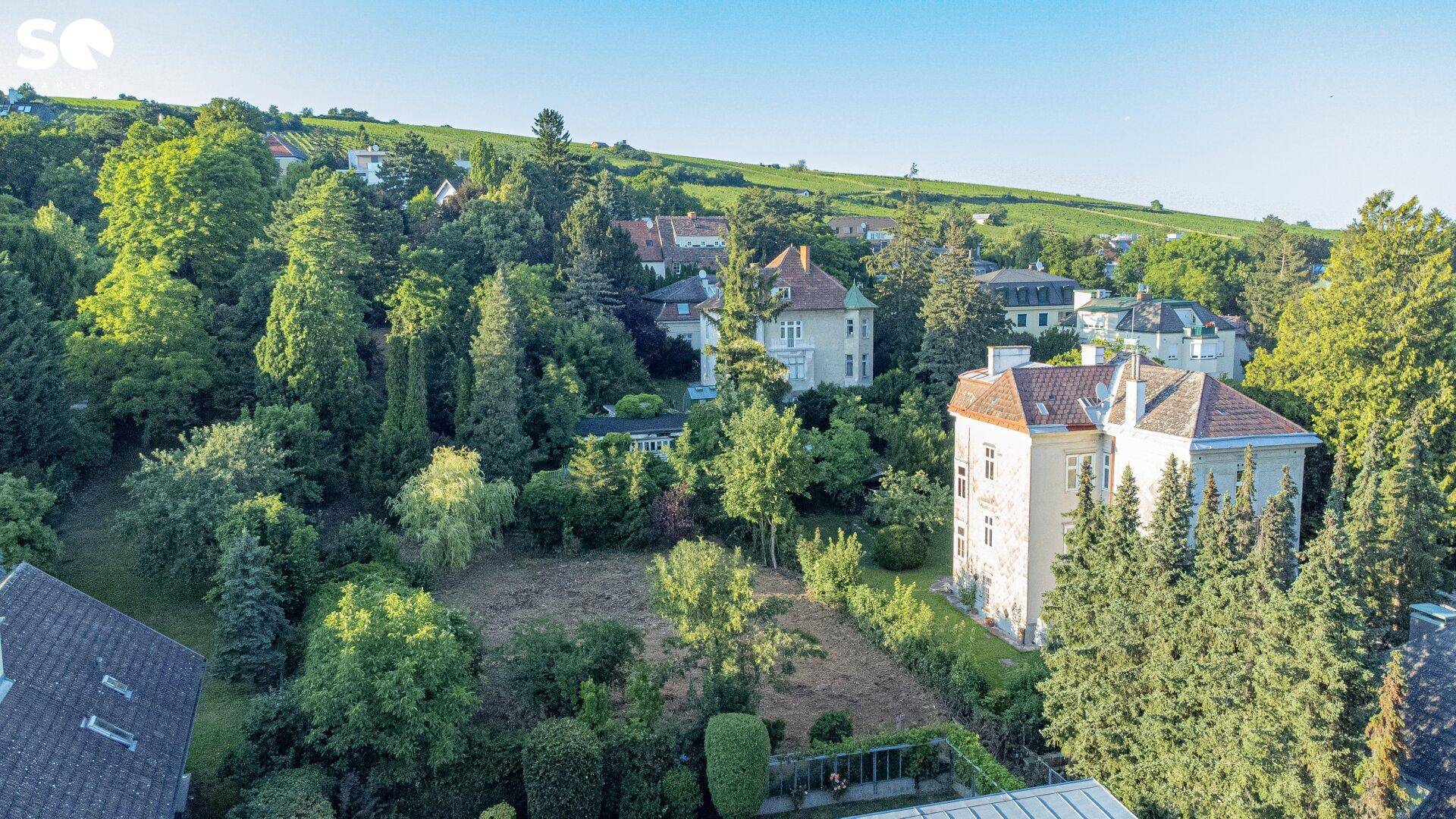 Grüne Umgebung mit Villen, Bäumen und Weinbergen unter blauem Himmel.