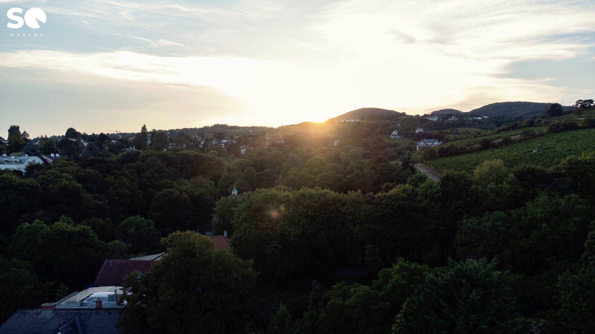 Sonnenuntergang über einer hügeligen Landschaft mit Wäldern und Weinbergen.