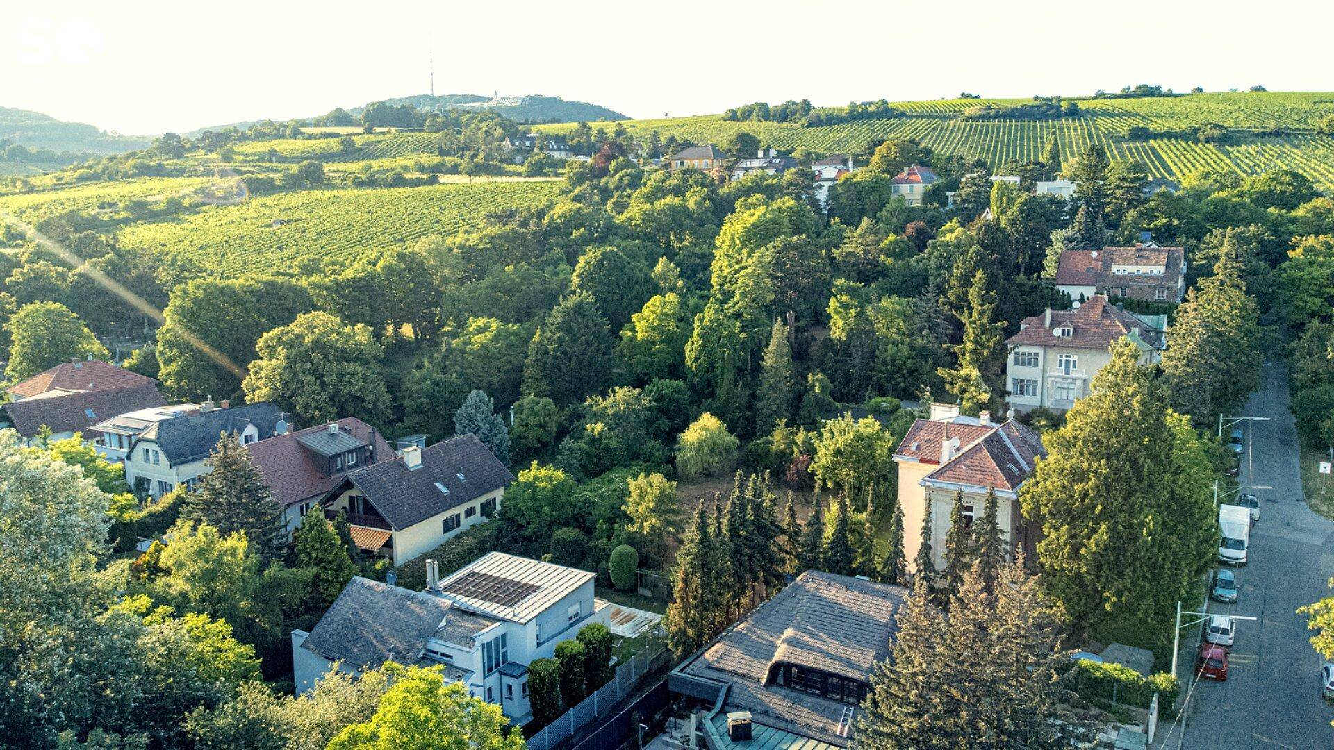 Weitläufige Landschaft mit grünen Hügeln, Weinbergen und Wohnbebauung.