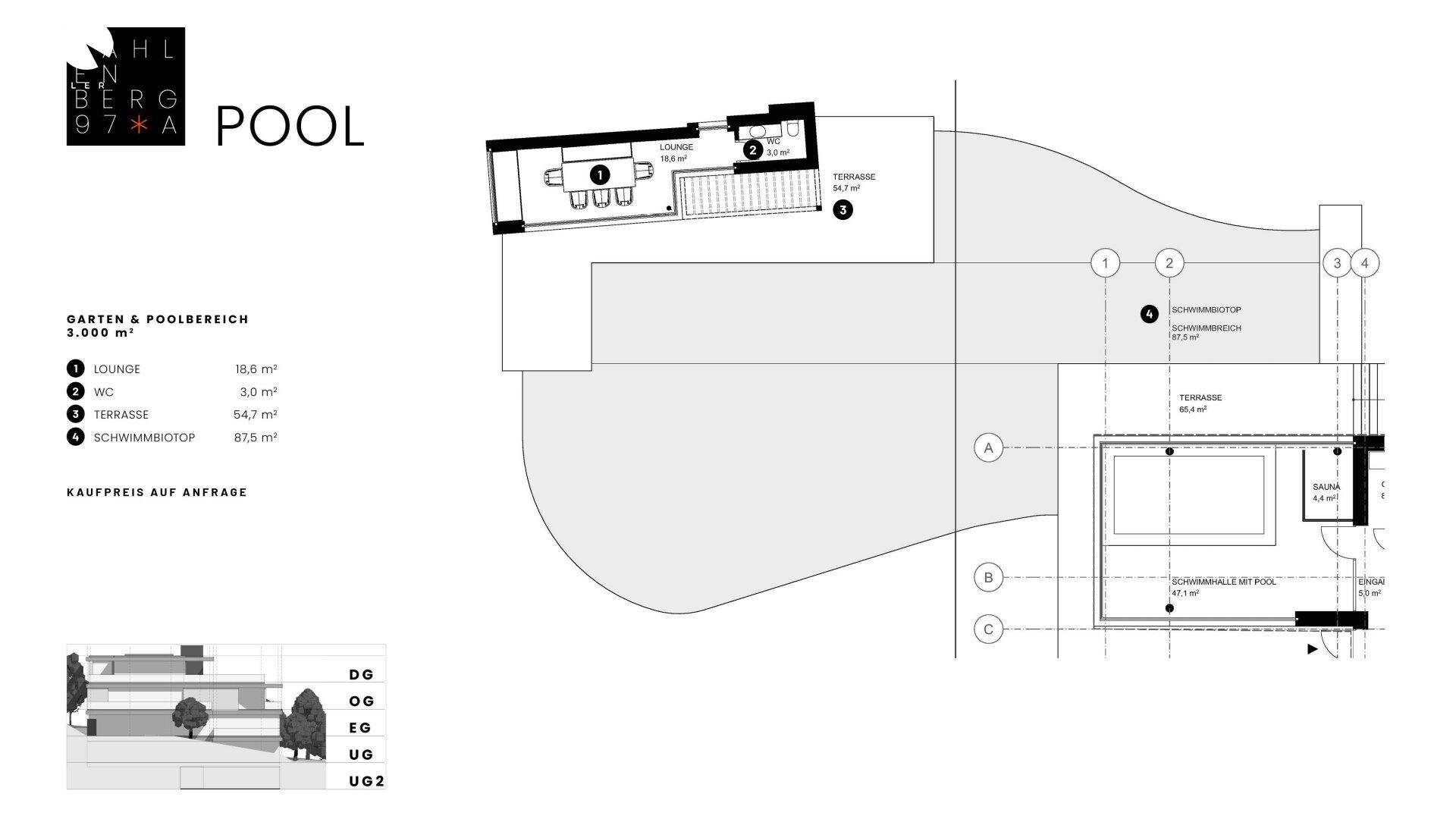 Detailansicht des Garten- und Poolbereichs mit Schwimmbiotop, Lounge und Terrasse.