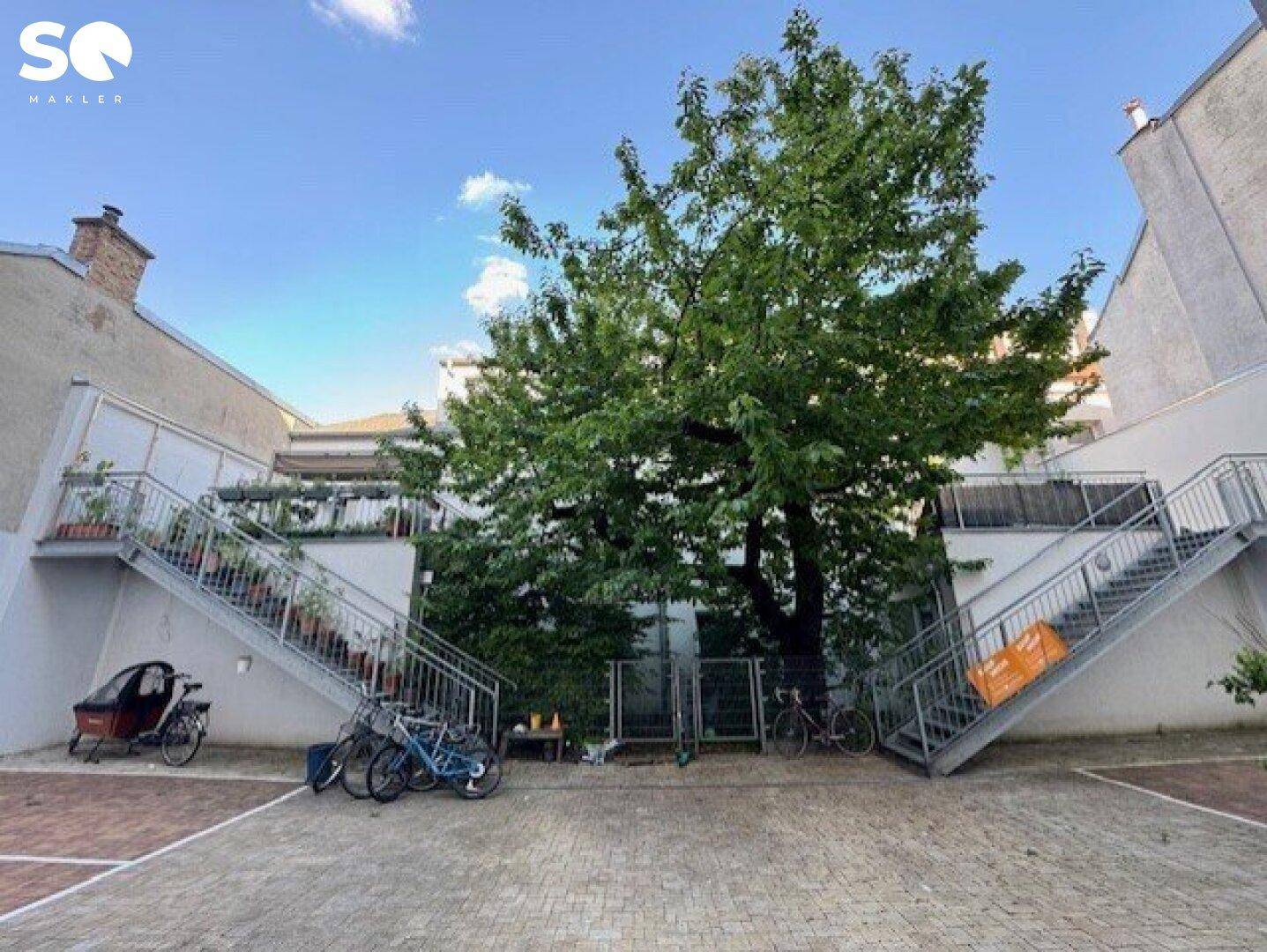 Grüner Innenhof mit Außentreppen, Fahrradstellplätzen und einem großen, schattenspendenden Baum.
