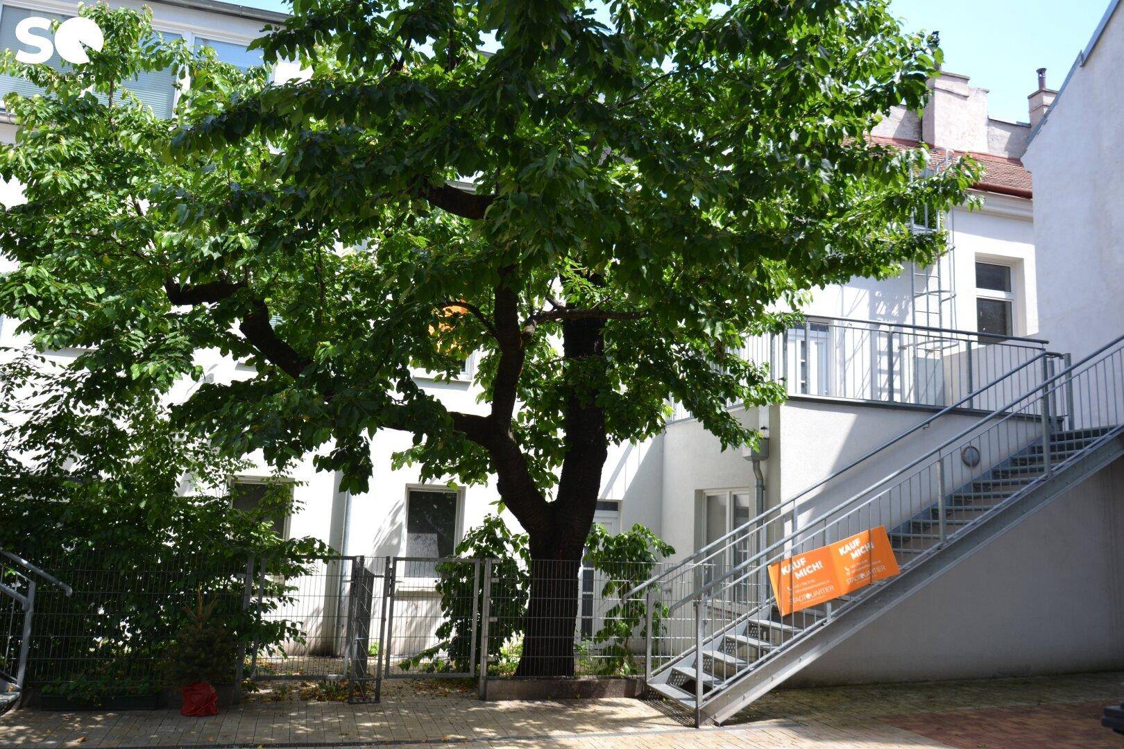 Idyllischer Innenhof mit üppigem Baum und Außentreppe, die zu den oberen Wohnungen führt.