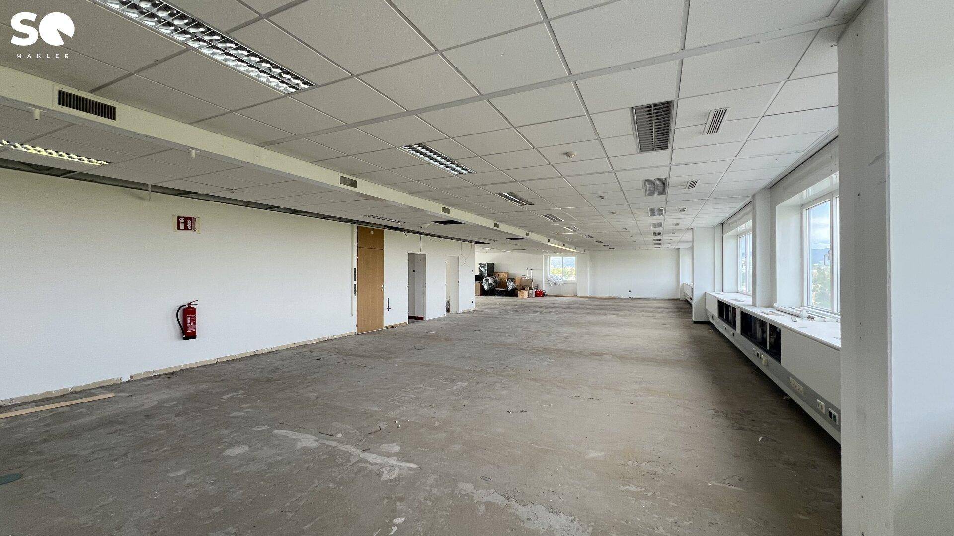 Großes, leeres Büro mit abgehängter Decke, Betonboden und Fenstern mit Blick ins Grüne.