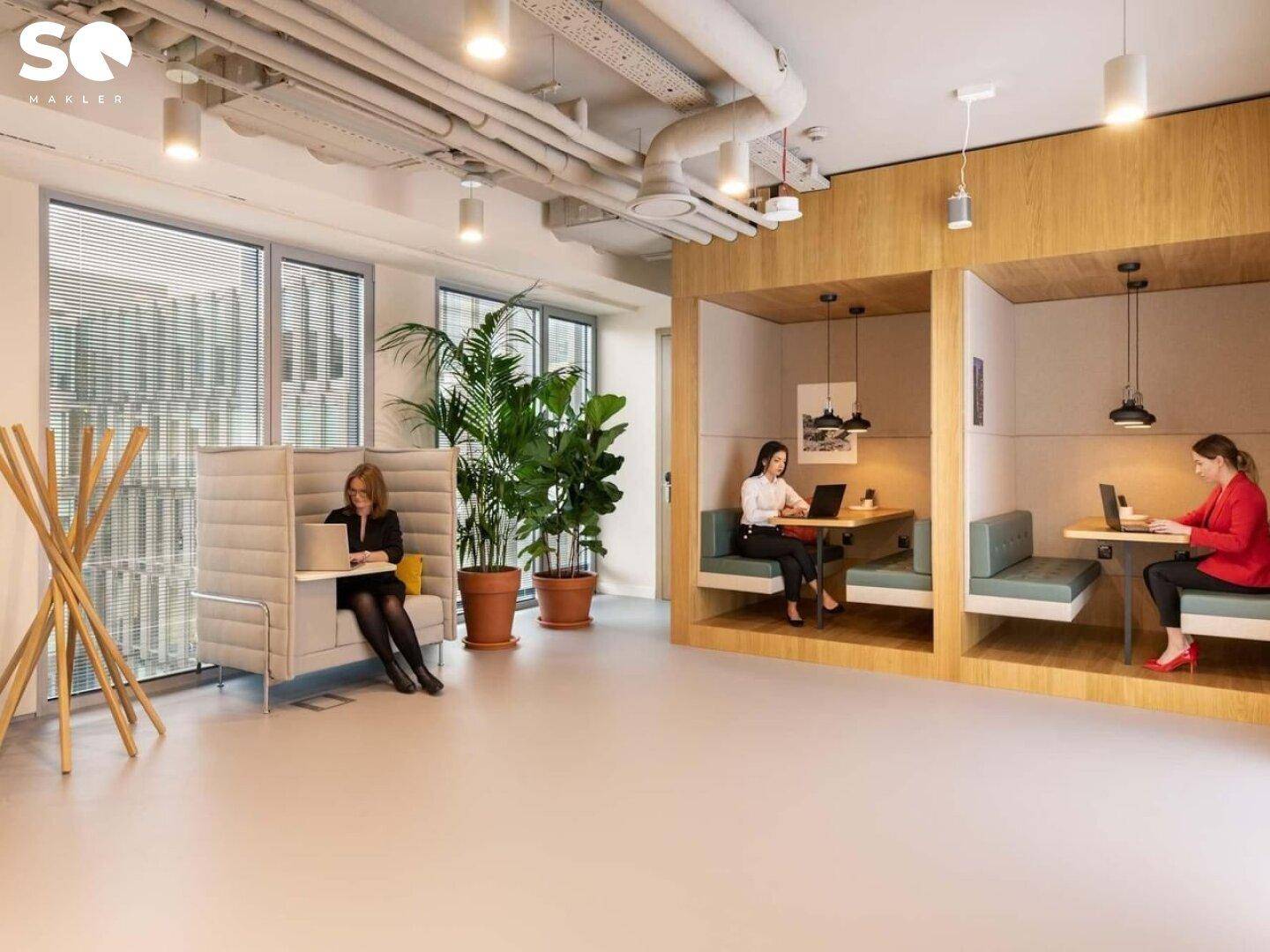 Kollaborativer Bürobereich mit individuellen Arbeitskabinen und einer großen Zimmerpflanze.