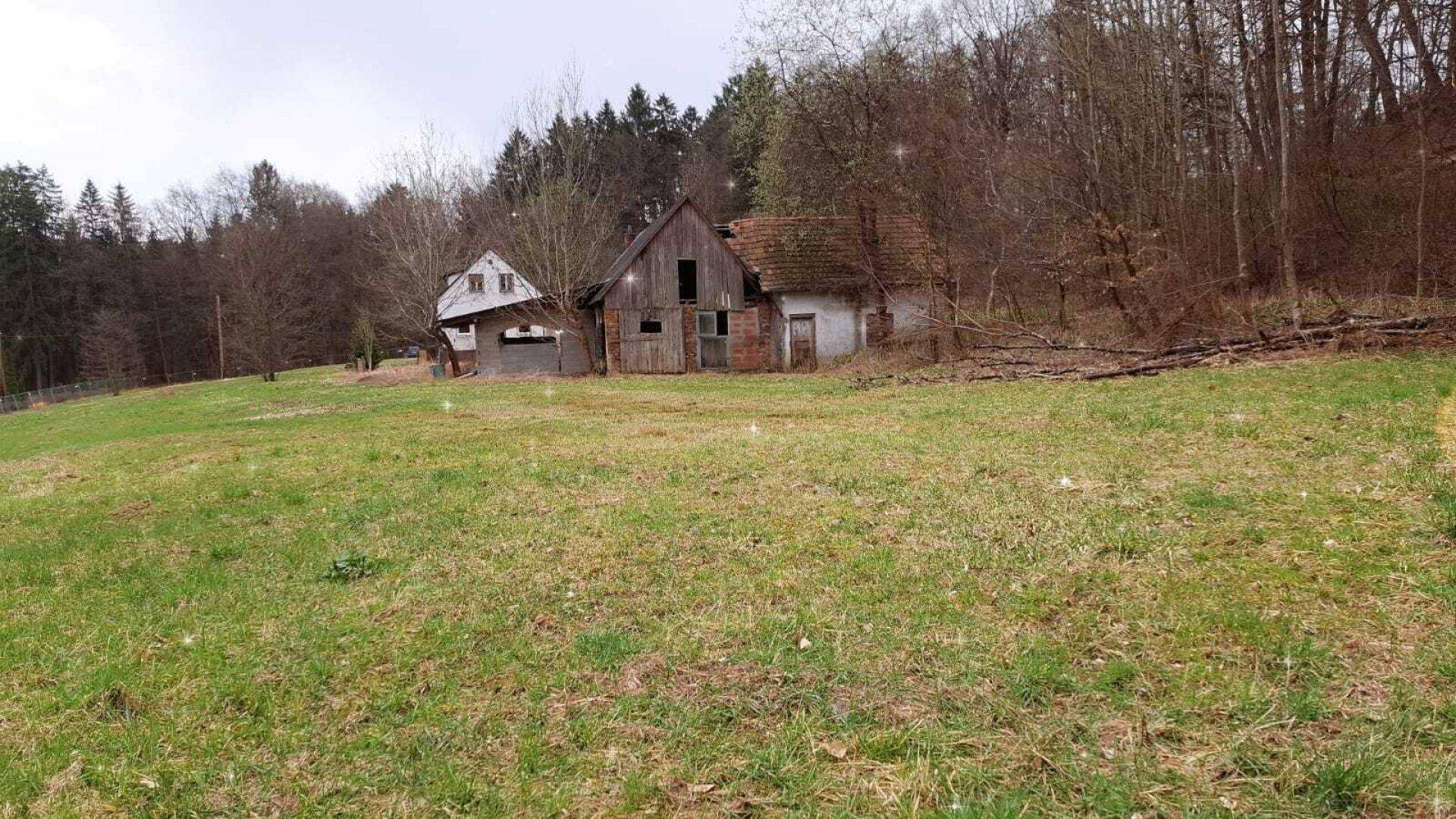 #SQ - VASOLDSBERG: 15337M² GRUNDSTÜCK MIT ALTBESTAND IN SONNIGER ALLEINLAGE NAHE GRAZ - Ansicht 2