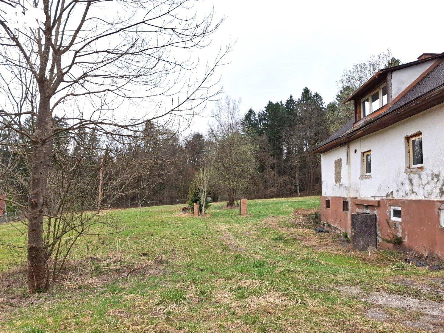#SQ - VASOLDSBERG: 15337M² GRUNDSTÜCK MIT ALTBESTAND IN SONNIGER ALLEINLAGE NAHE GRAZ - Ansicht 4