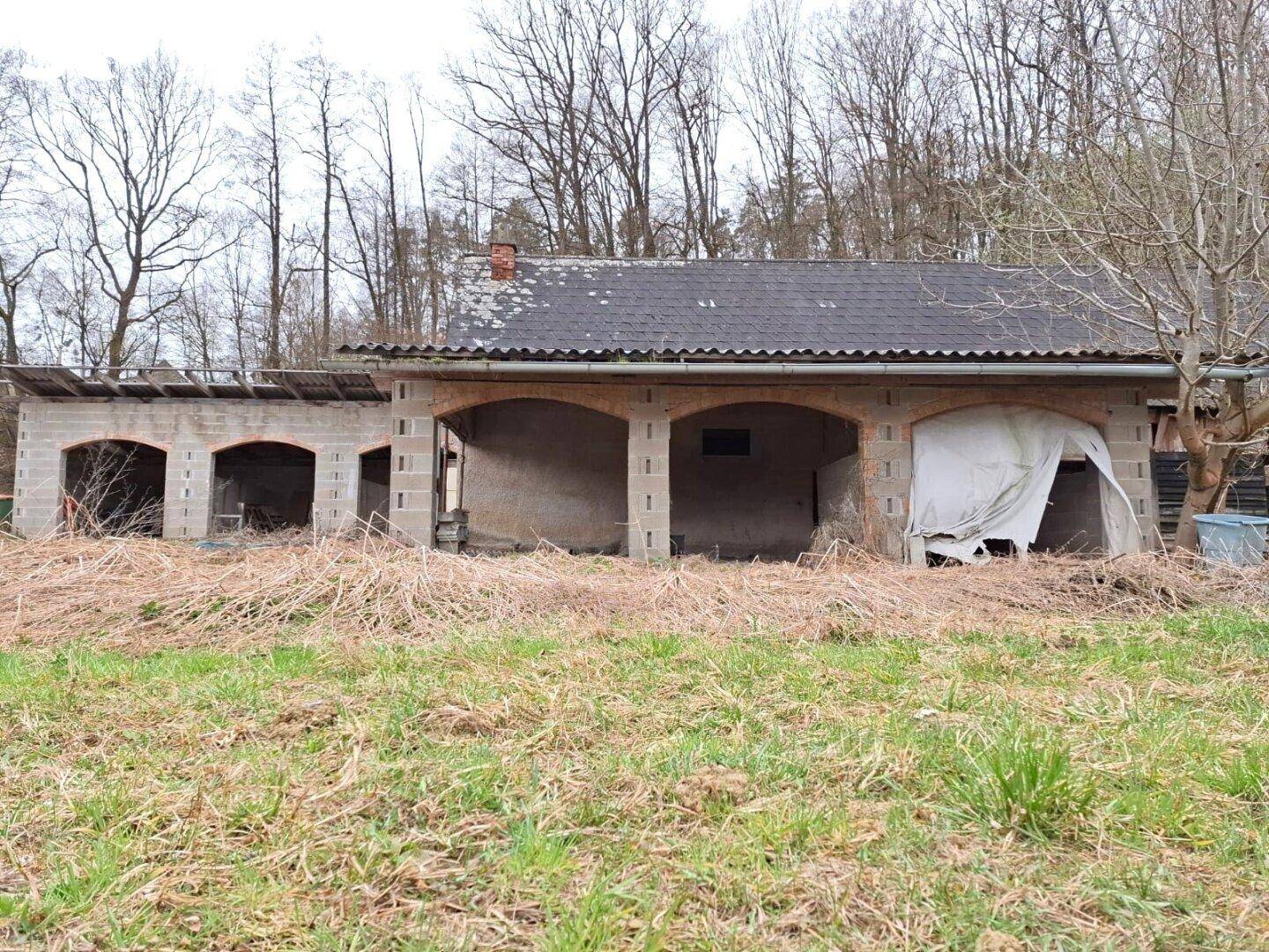 #SQ - VASOLDSBERG: 15337M² GRUNDSTÜCK MIT ALTBESTAND IN SONNIGER ALLEINLAGE NAHE GRAZ - Ansicht 5