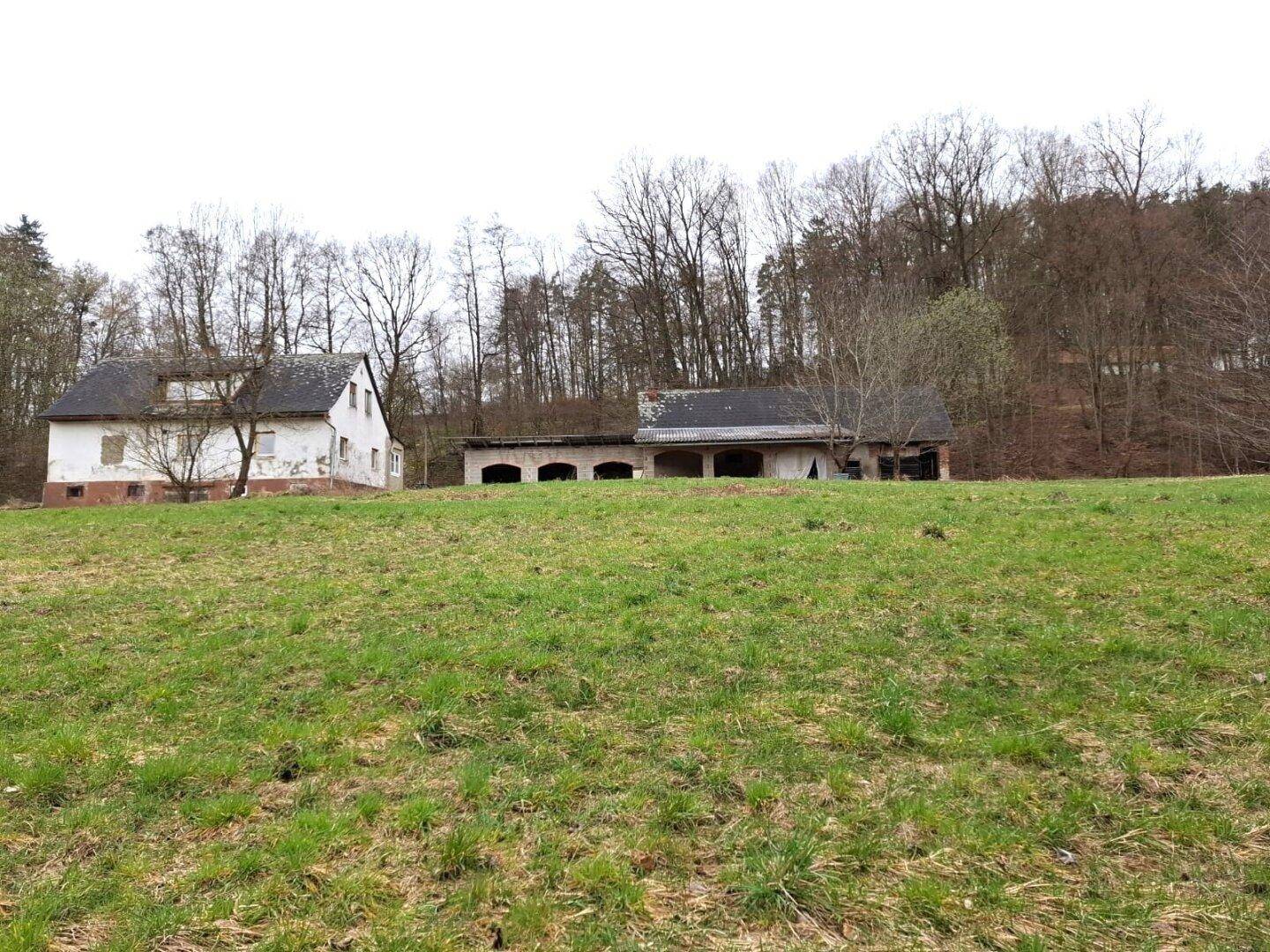 #SQ - VASOLDSBERG: 15337M² GRUNDSTÜCK MIT ALTBESTAND IN SONNIGER ALLEINLAGE NAHE GRAZ - Ansicht 3