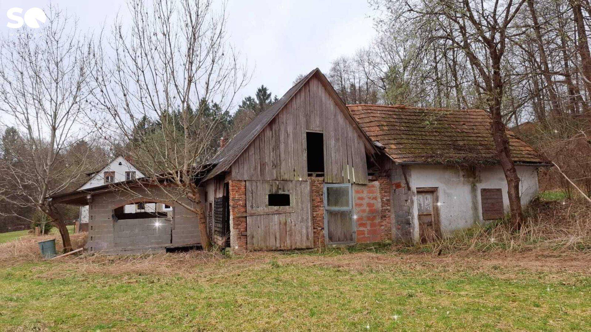 #SQ - VASOLDSBERG: 15337M² GRUNDSTÜCK MIT ALTBESTAND IN SONNIGER ALLEINLAGE NAHE GRAZ - Ansicht 6