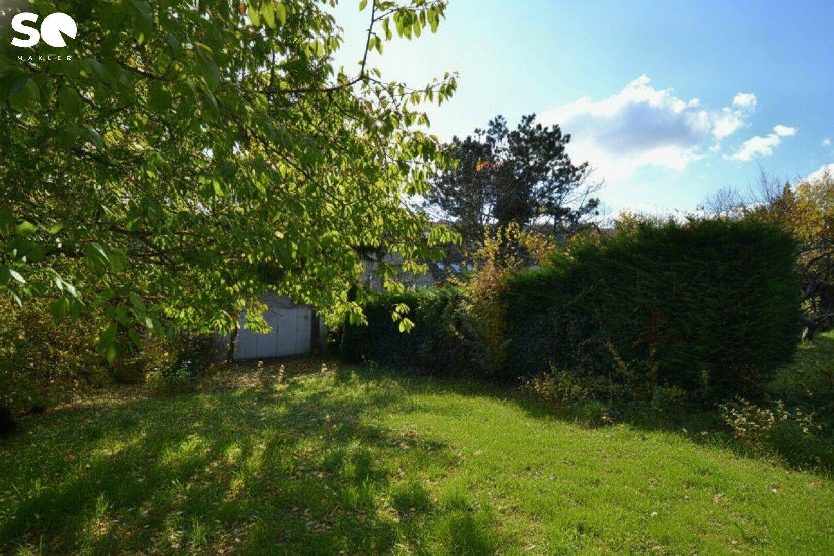 Gepflegter Gartenbereich mit Rasen, Bäumen und einer dichten Hecke im Hintergrund.