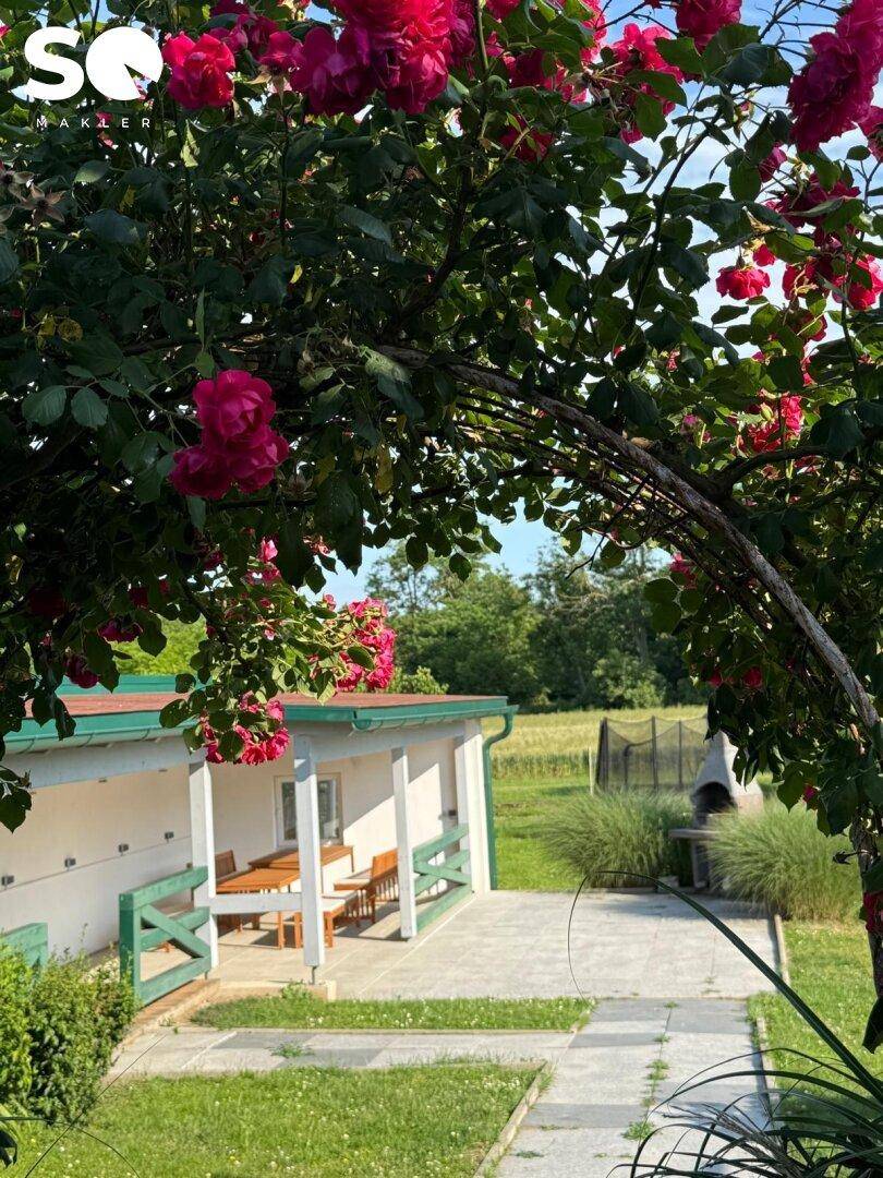 Romantischer Rosenbogen im Garten mit Blick auf die überdachte Terrasse und den Grill.