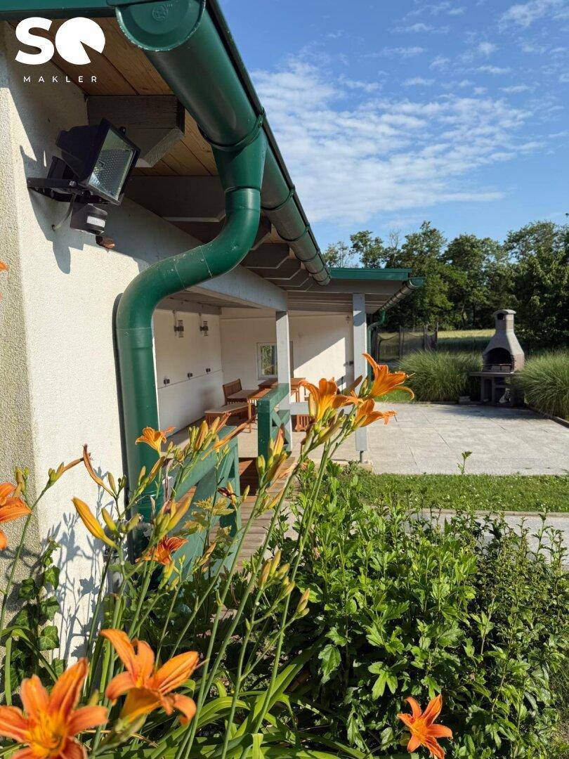 Blühende Blumen im Vorgarten mit Blick auf die überdachte Terrasse und den Grill.