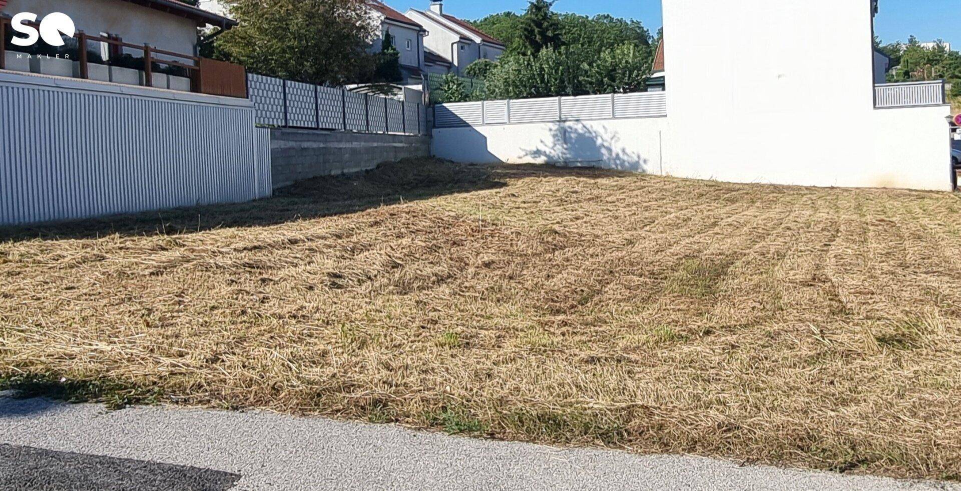 Weitläufiges Grundstück mit frisch gemähtem Gras und Blick auf die Nachbarschaft.