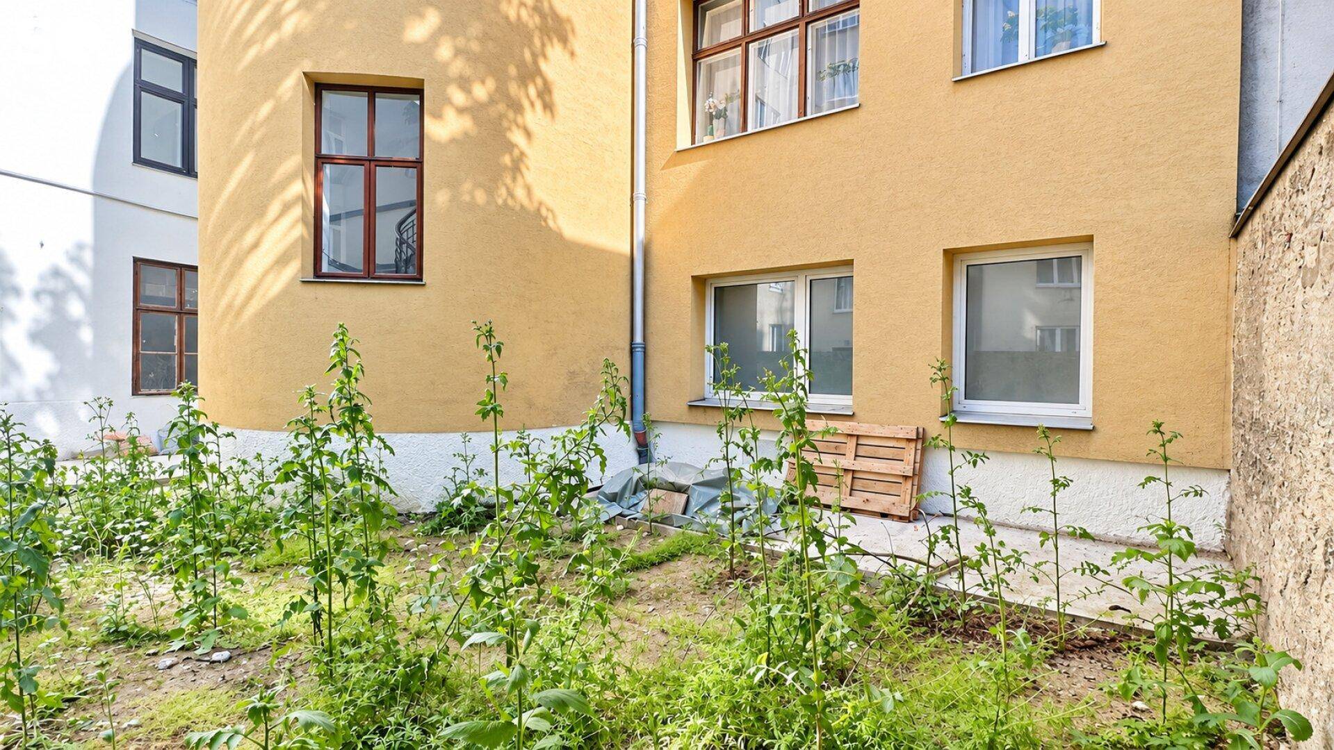 Kleiner, ungepflegter Gartenbereich vor der gelben Gebäudefassade im Innenhof.