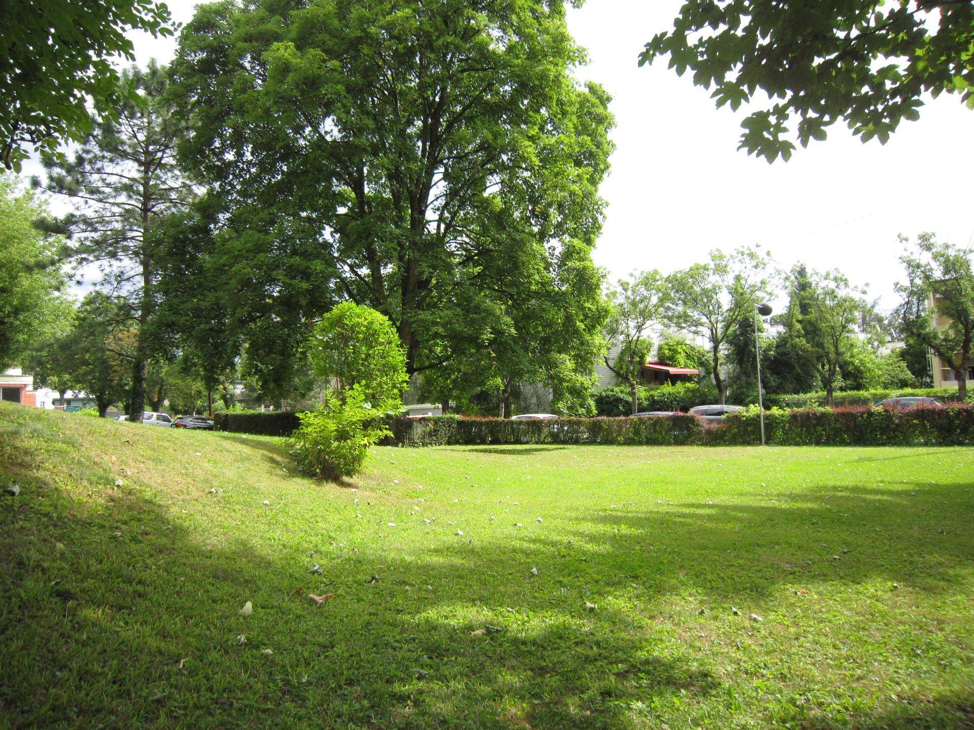 Slide 3