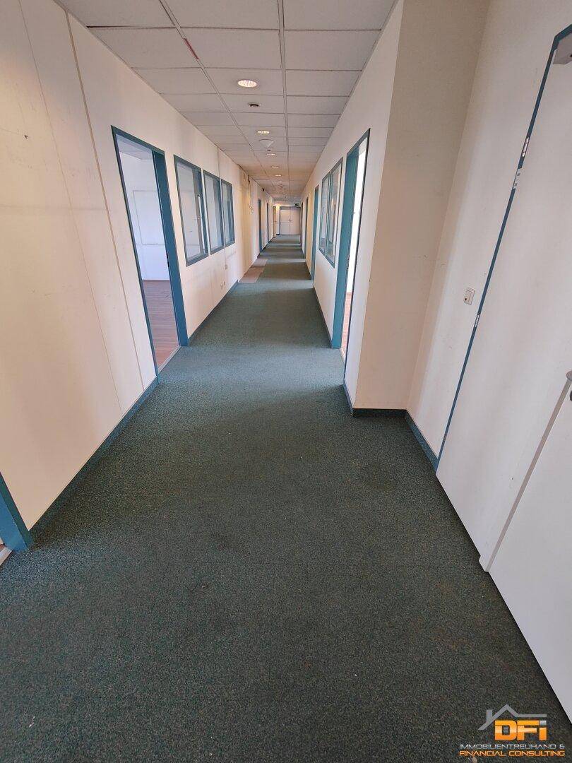 Langer Bürogang mit grünem Teppichboden, weißen Wänden und vielen Türen zu den Büroräumen.