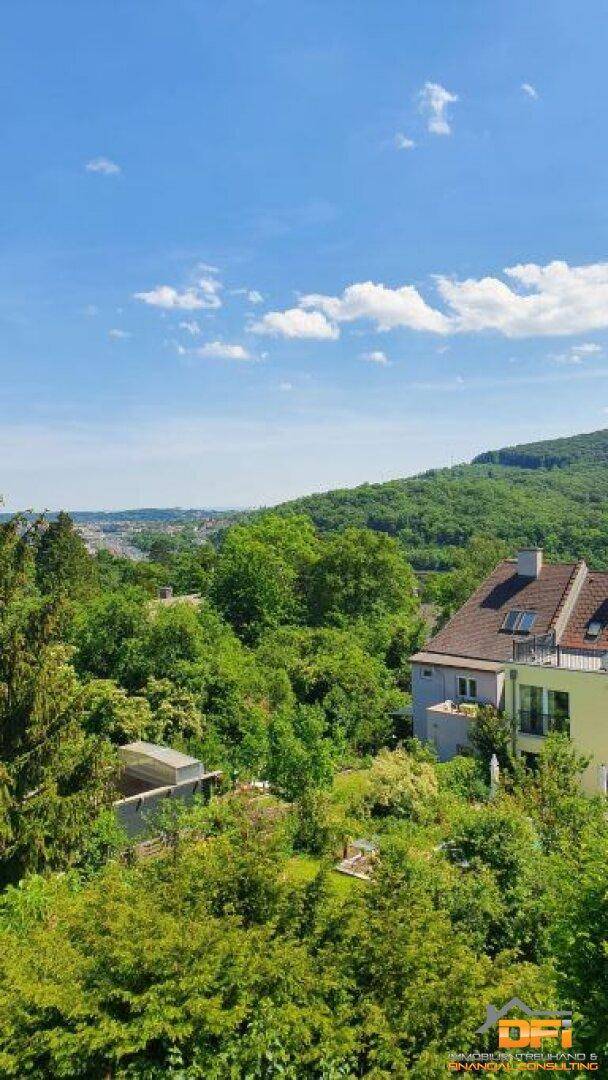 Weitläufiger Blick über grüne Hügel und bewaldete Landschaft mit vereinzelten Häusern.