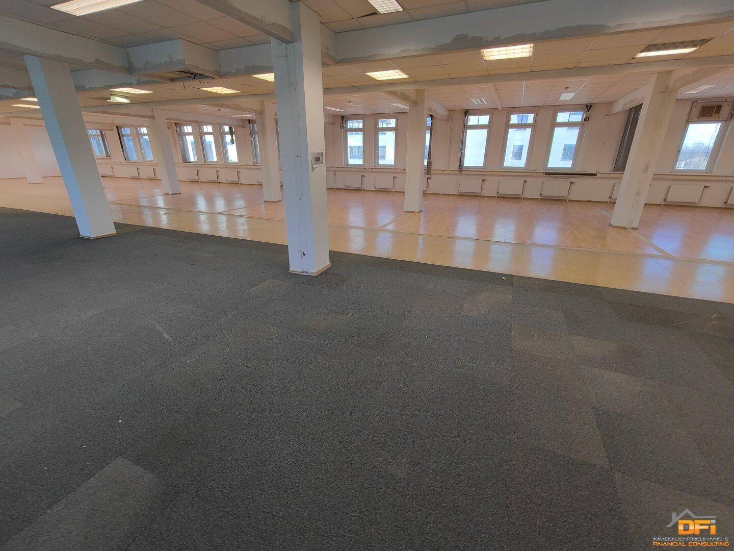 Großer, offener Büroraum mit Teppich- und Laminatboden, vielen Fenstern und tragenden Säulen.