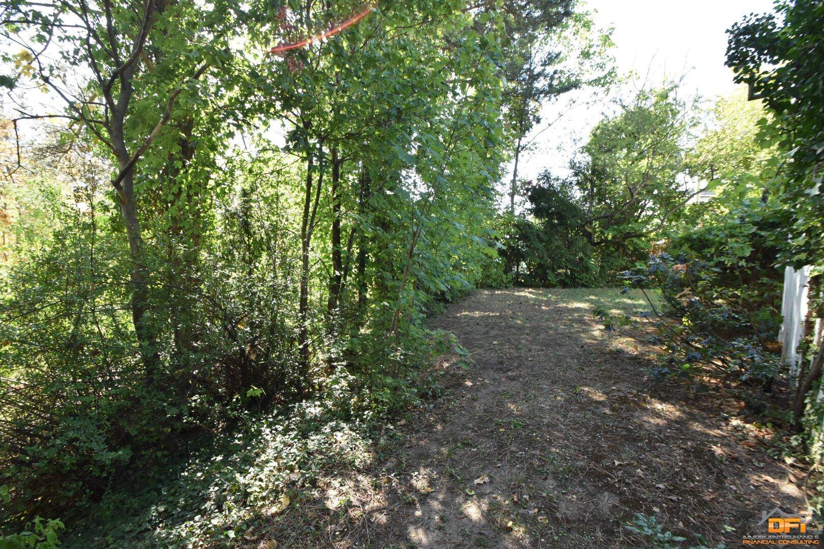 Naturbelassener Gartenbereich mit Bäumen und Sträuchern, ideal zum Entspannen.