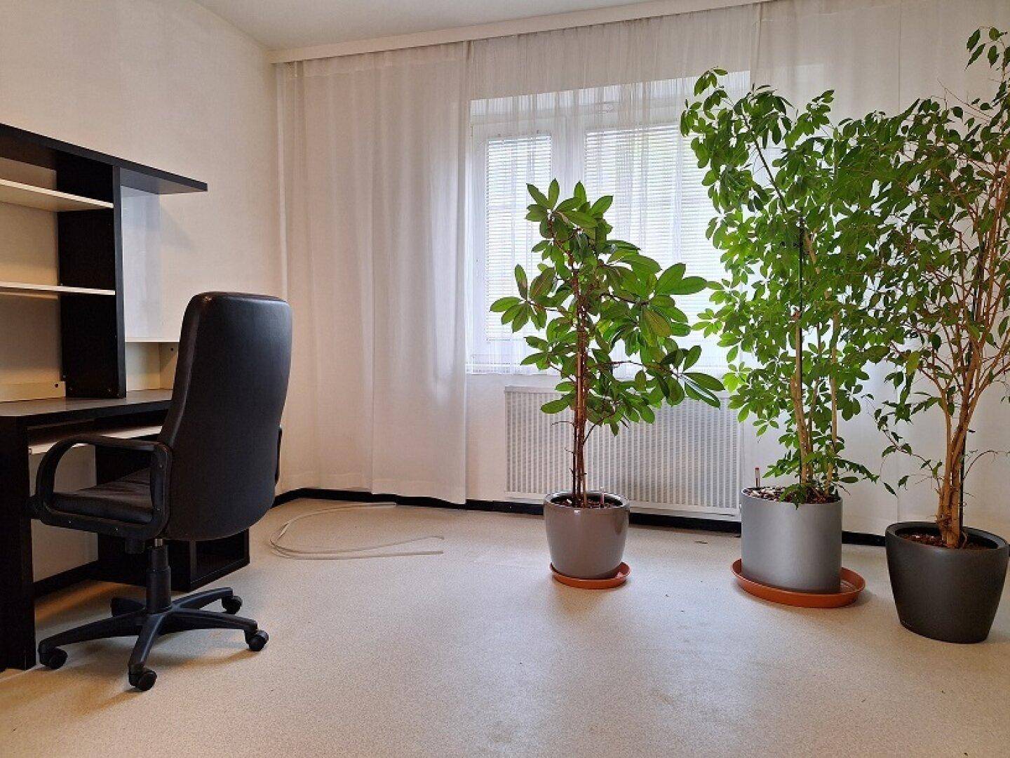 Helles Zimmer mit Schreibtisch, Bürostuhl und großen Pflanzen vor einem Fenster mit Jalousien.