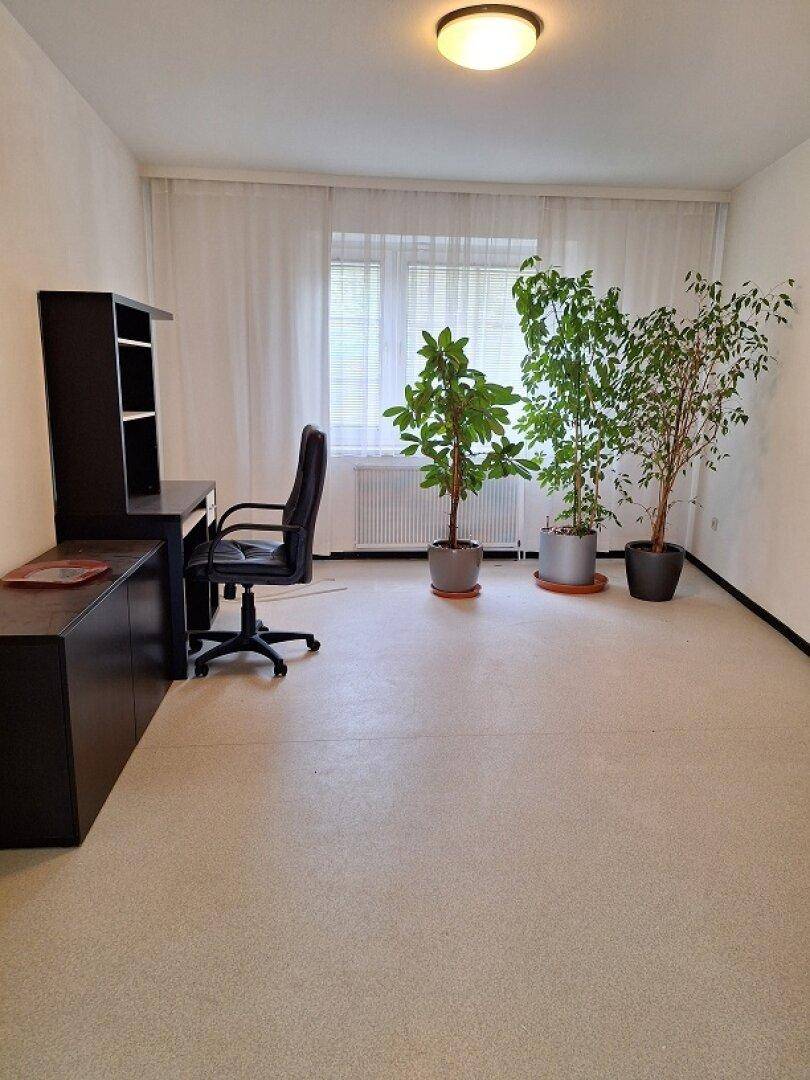 Geräumiges Arbeitszimmer mit Schreibtischmöbeln und mehreren Zimmerpflanzen, gut beleuchtet durch ein großes Fenster.