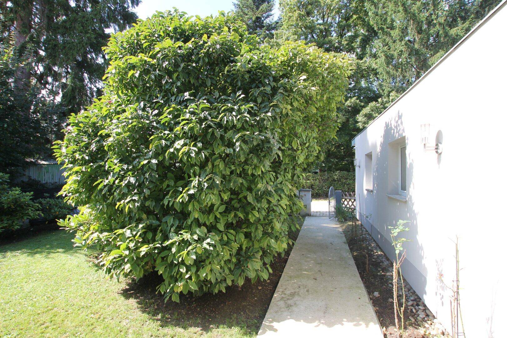 Charmantes, vollsaniertes Einfamilienhaus mit Garten, Pool und Wellnessbereich in Grünruhelage von Pressbaum - Ansicht 5