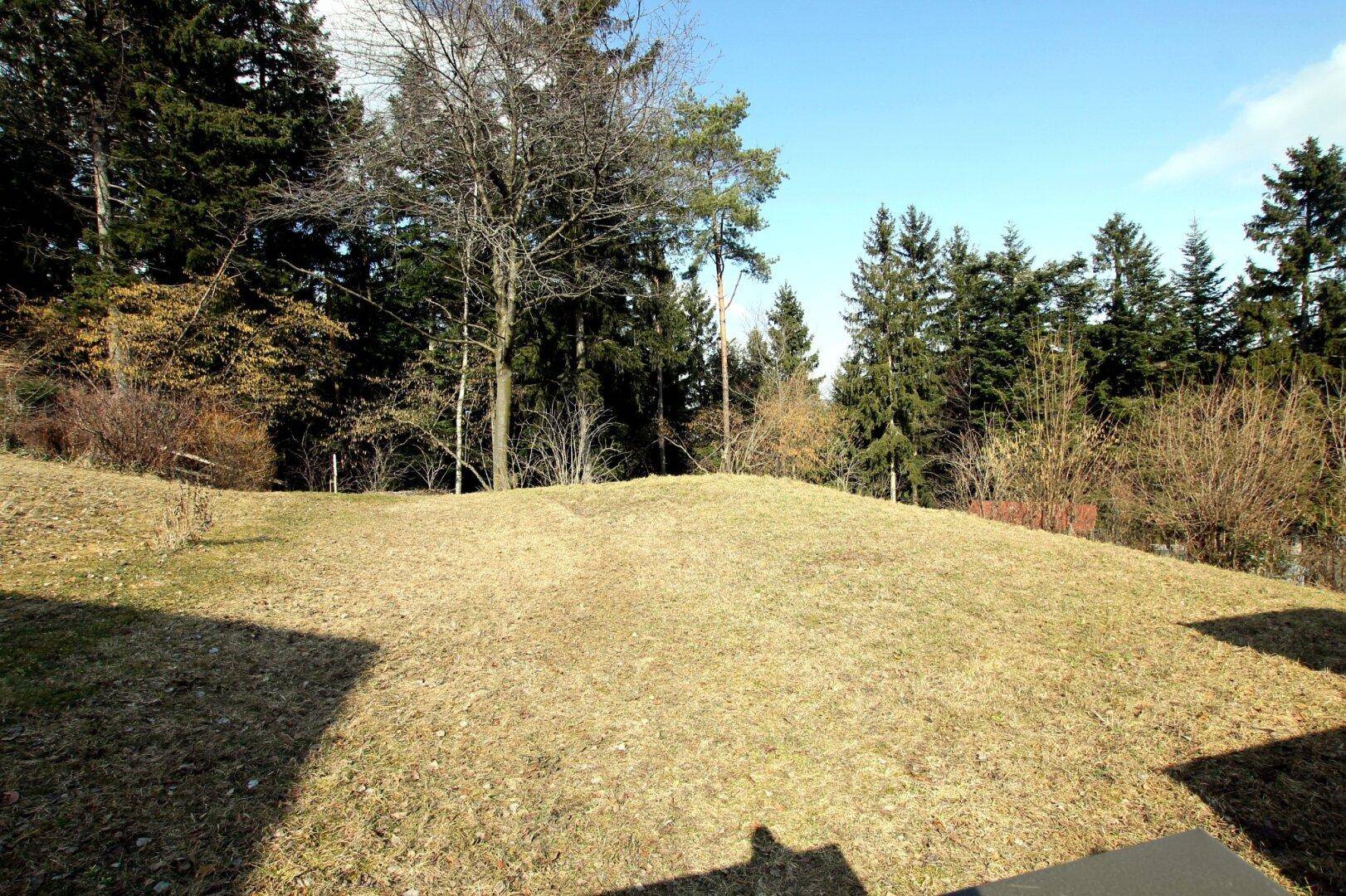 Großer Rasenbereich mit Bäumen und Blick auf die umliegende Waldlandschaft unter blauem Himmel.