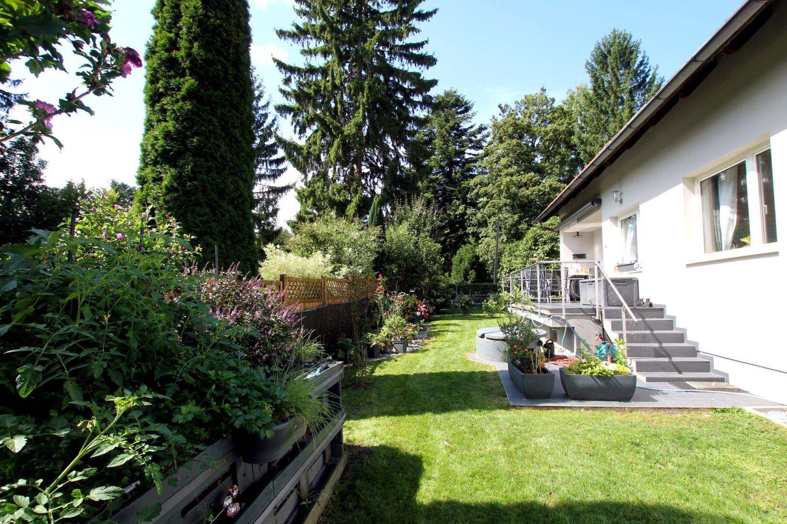 Seitlicher Gartenbereich mit Hochbeeten und Zugang zum Haus, umgeben von viel Grün.