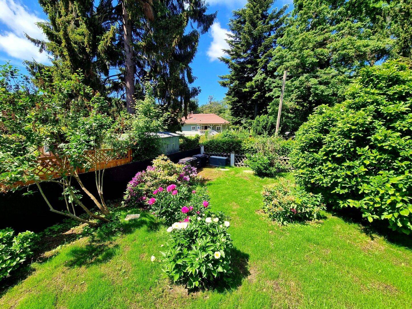 Gepflegter Garten mit blühenden Sträuchern, Rasenfläche und altem Baumbestand.