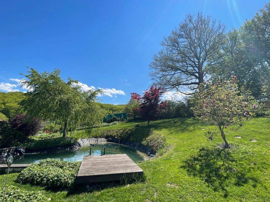 Idyllischer Gartenbereich mit Teich, Holzsteg und üppigem Grün unter blauem Himmel.