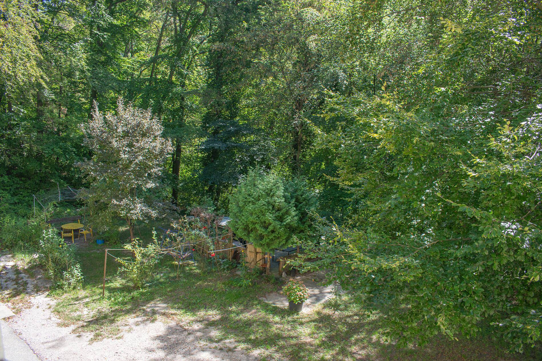 Grüner Gartenbereich mit Bäumen, Sträuchern und einem kleinen Sitzbereich im Freien.