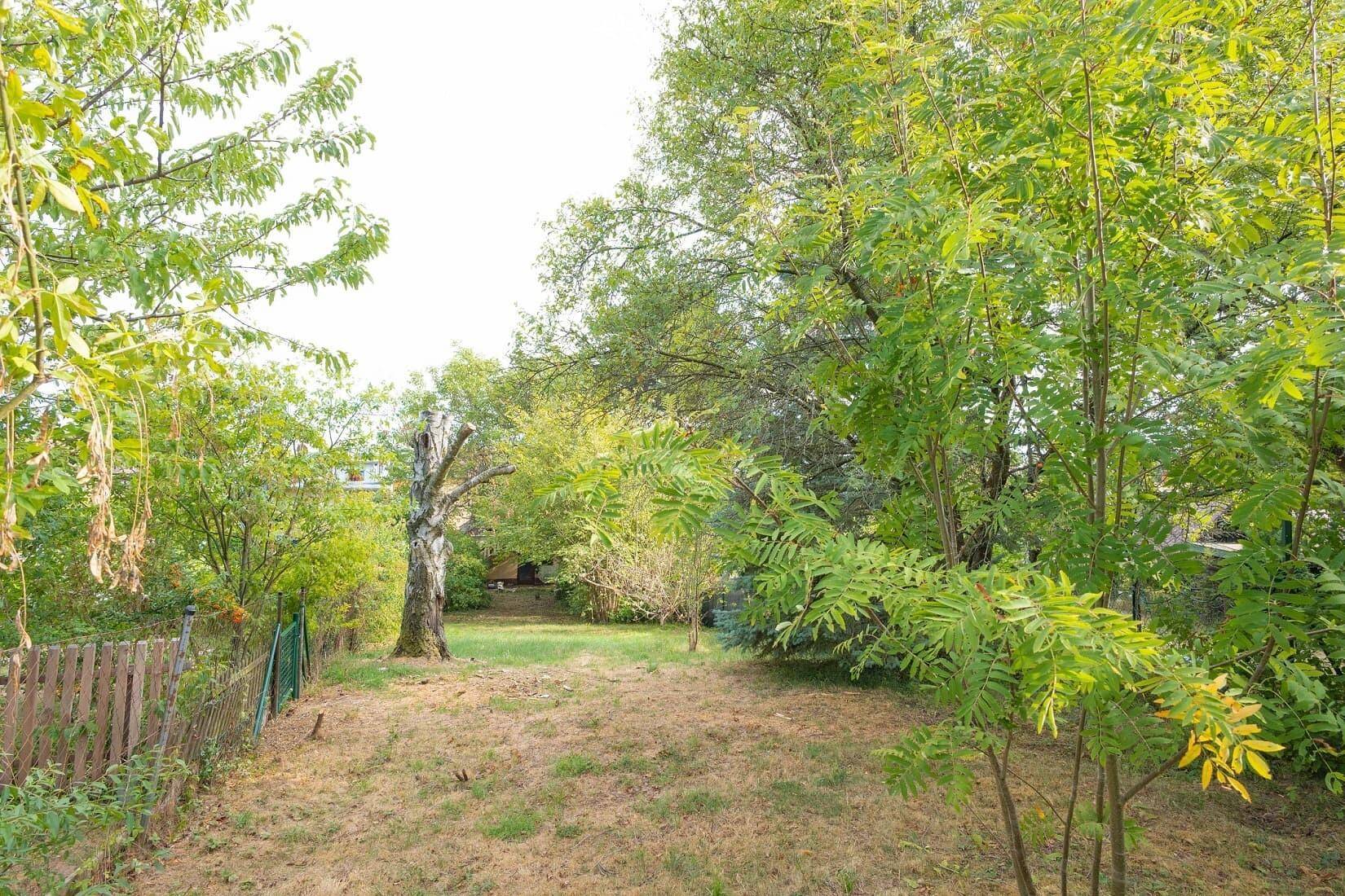 Naturbelassener Gartenbereich mit Bäumen und einer Rasenfläche, umgeben von einem Holzzaun.